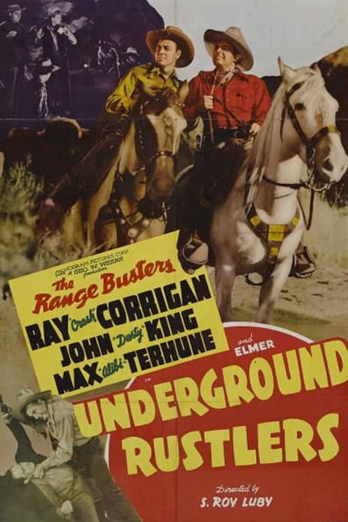 Постер: Underground Rustlers