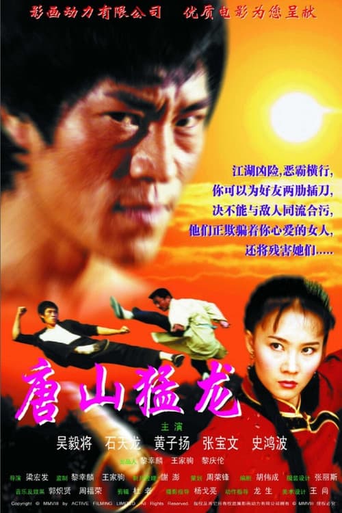 Постер: 戰龍 2