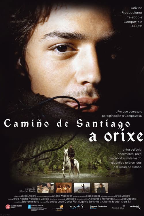 Постер: Camino de Santiago: El Origen