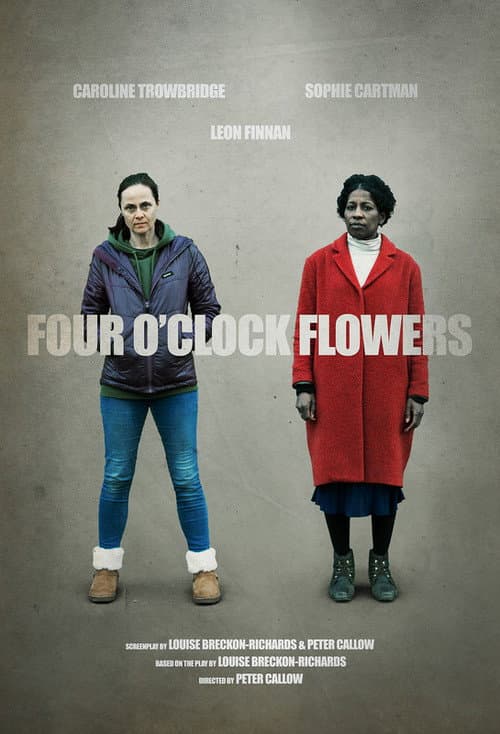 Постер: Four O'Clock Flowers