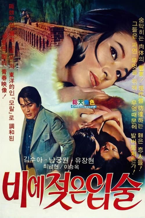 Постер: 비에 젖은 입술