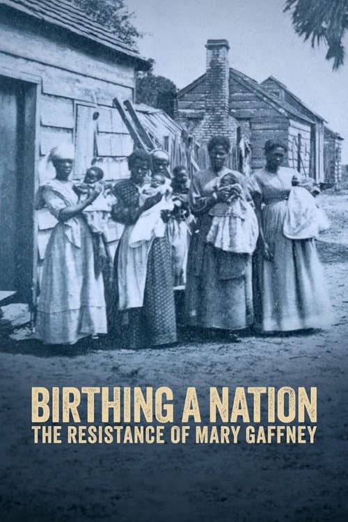 Постер: Birthing a Nation: The Resistance of Mary Gaffney
