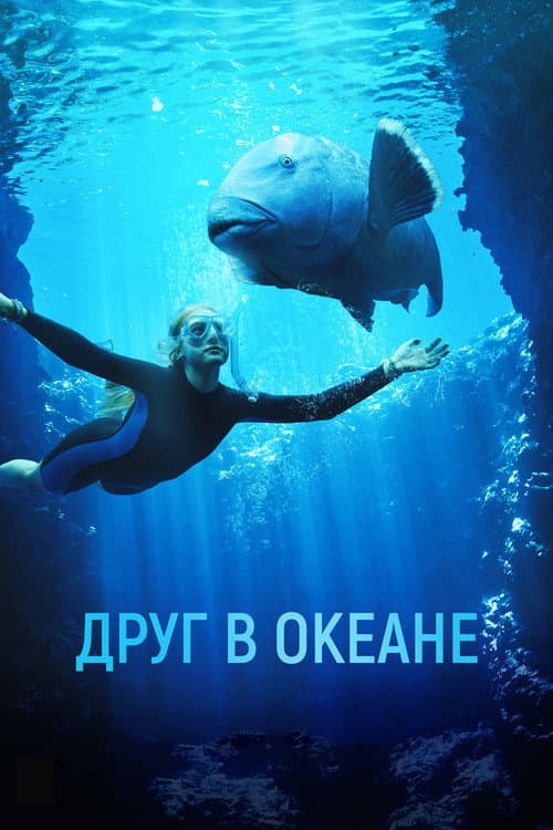Постер 2