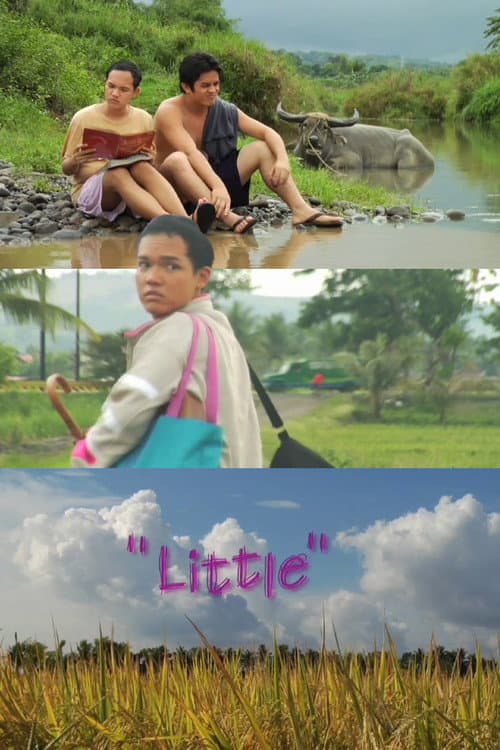Постер: Little