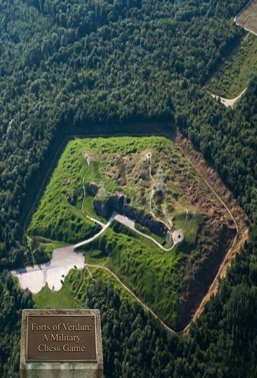 Постер: Forts of Verdun: A Military Chess Game
