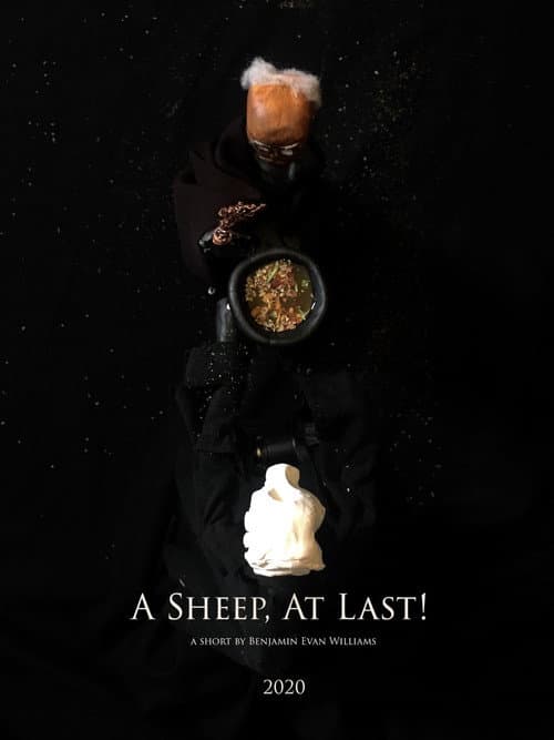 Постер: A Sheep, At Last!