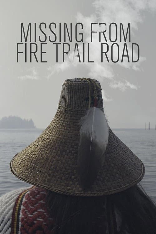 Постер: Missing from Fire Trail Road