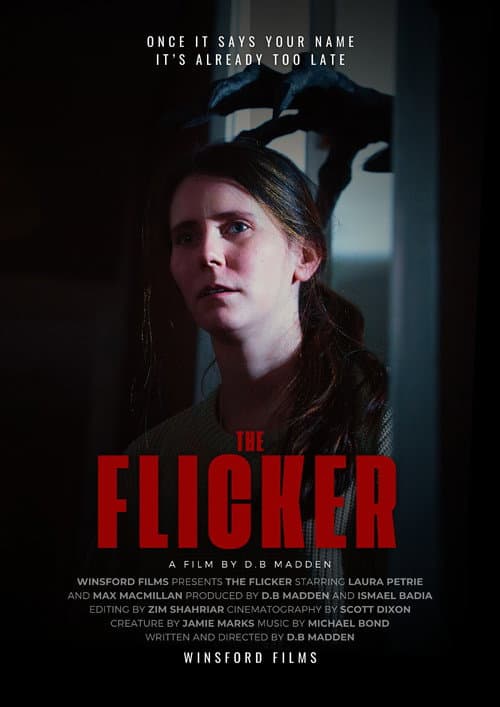 Постер: The Flicker