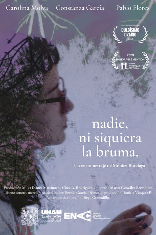Постер: Nadie, ni siquiera la bruma