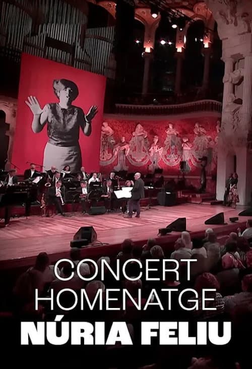 Постер: Núria Feliu al Palau