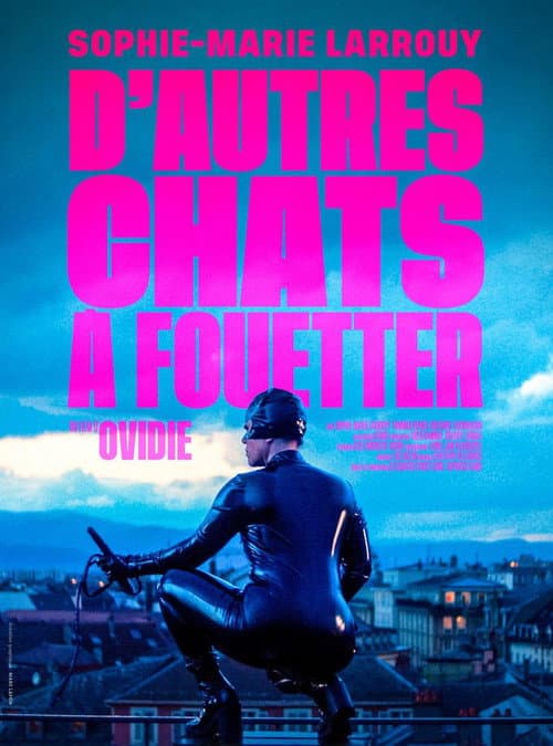 Постер: D'autres chats à fouetter