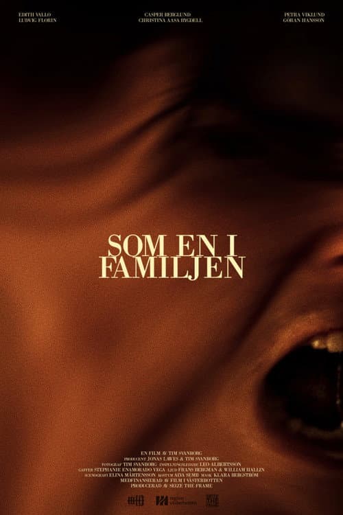 Постер: Som en i familjen
