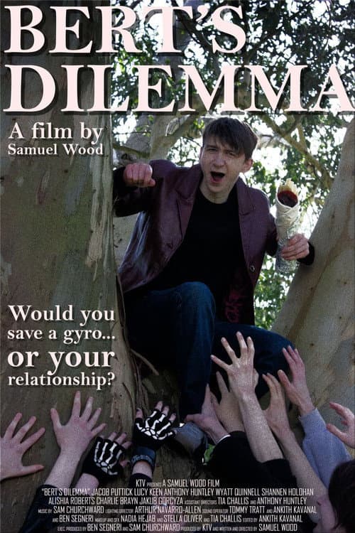 Постер: Bert's Dilemma