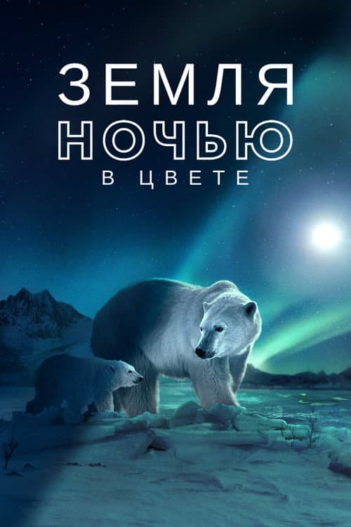 Постер: Земля ночью в цвете