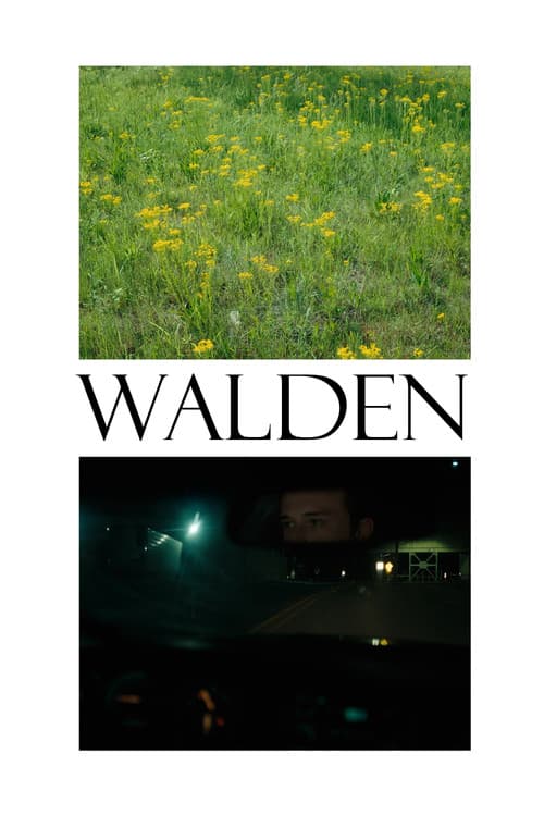 Постер: Walden