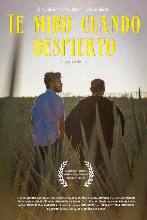 Постер: Te miro cuando despierto