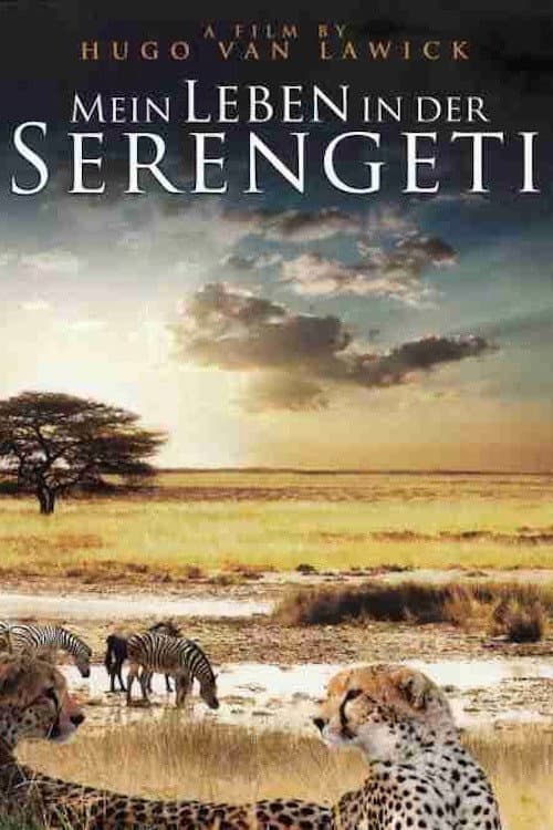 Постер: Mein Leben in der Serengeti