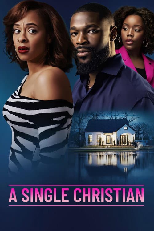 Постер: A Single Christian