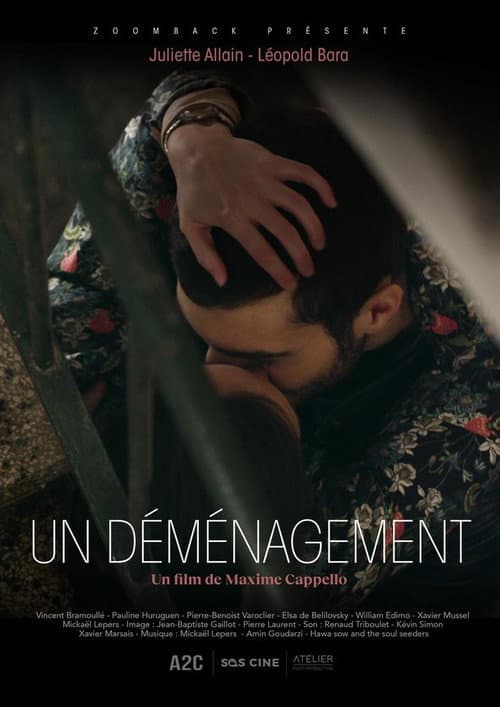 Постер: Un déménagement