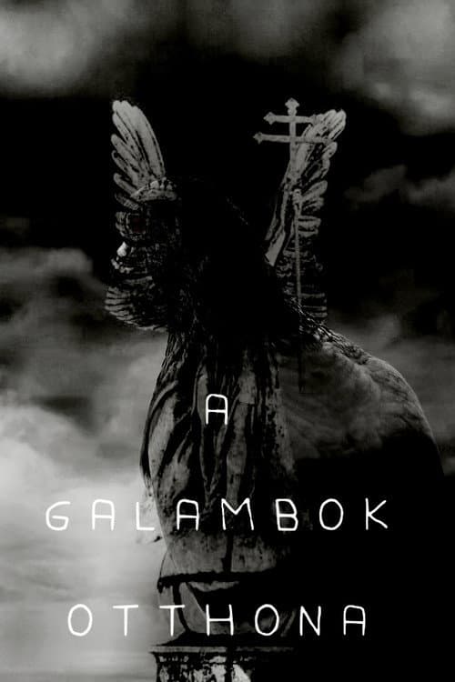 Постер: A galambok otthona