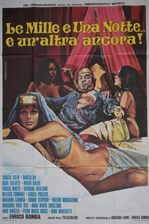 Постер: Le mille e una notte... e un'altra ancora!