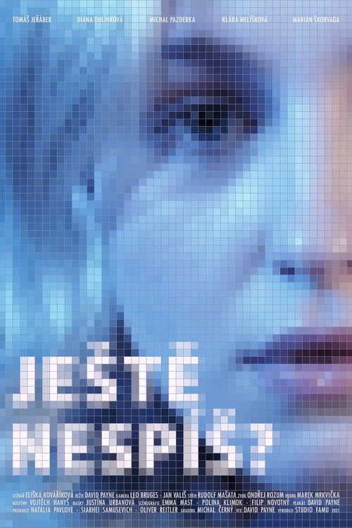 Постер: Ještě nespíš?