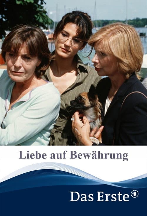 Постер: Liebe auf Bewährung