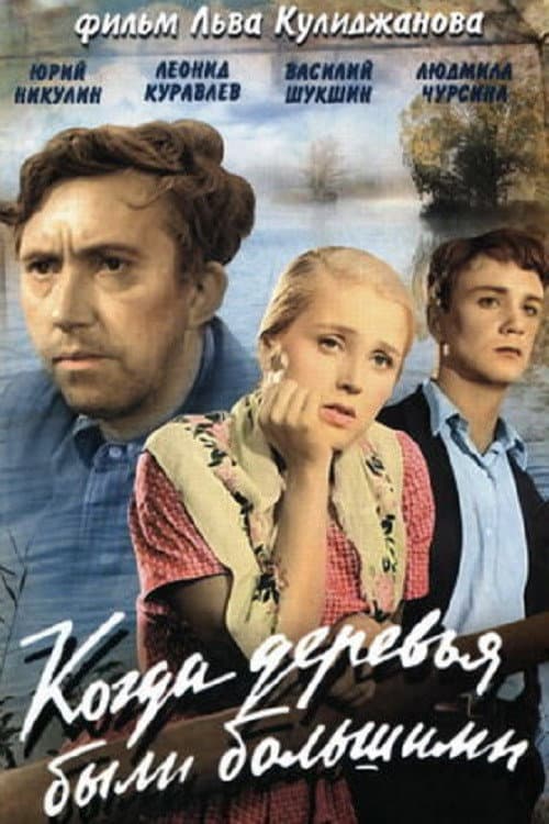 Постер 7