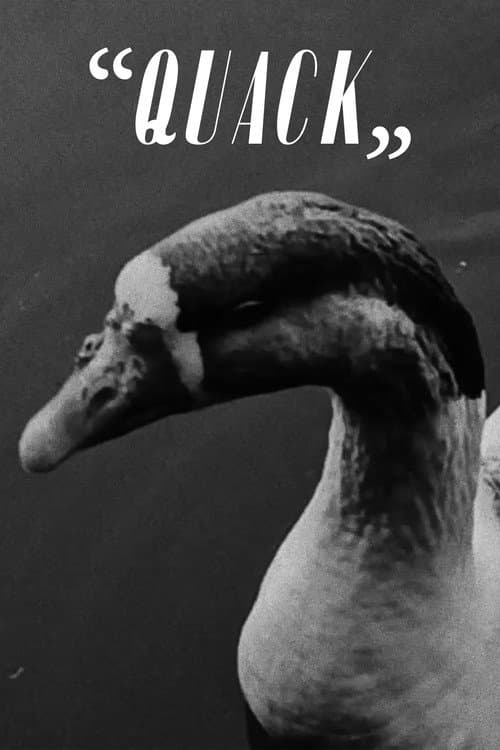 Постер: “Quack”
