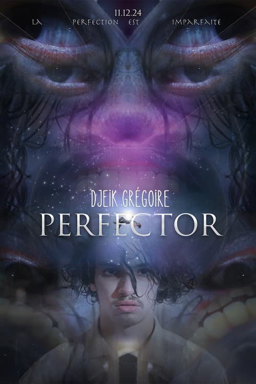 Постер: Perfector: Every Day Is The Same
