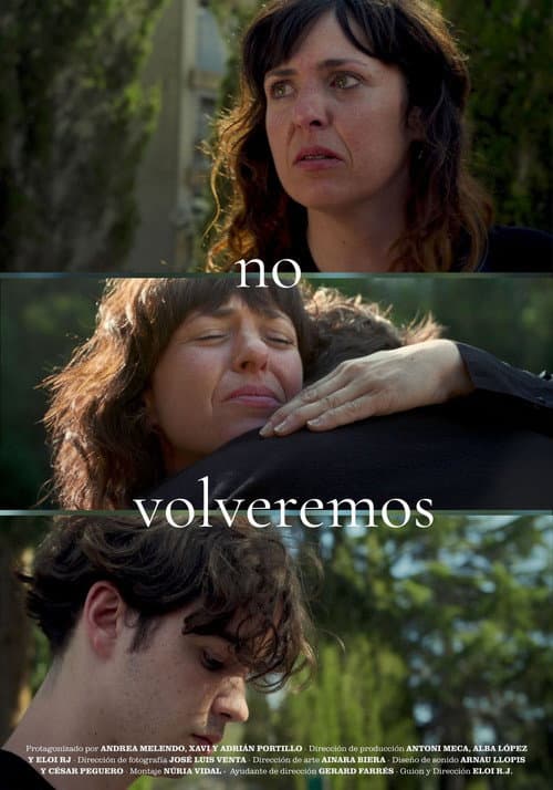 Постер: No volveremos