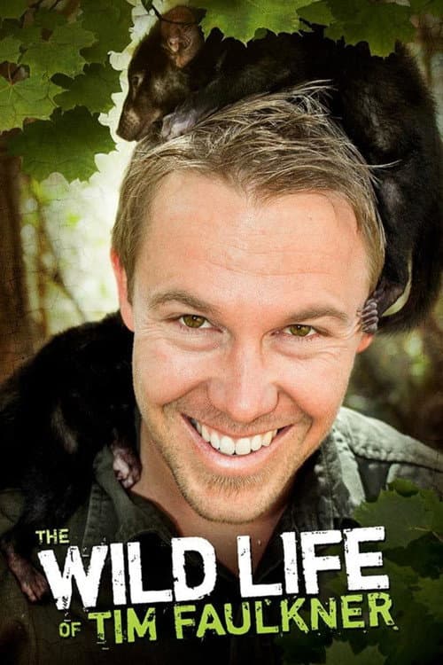 Постер: The Wild Life of Tim Faulkner