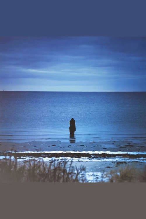 Постер: Steven Wilson: Catalogue / Preserve / Amass