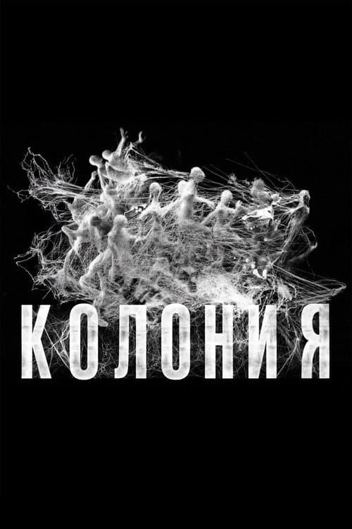Кадр 2