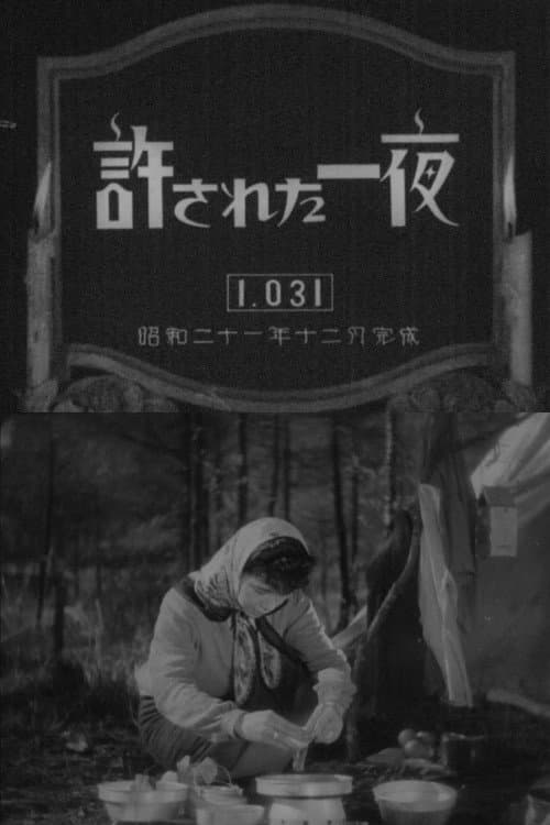 Постер: 許された一夜
