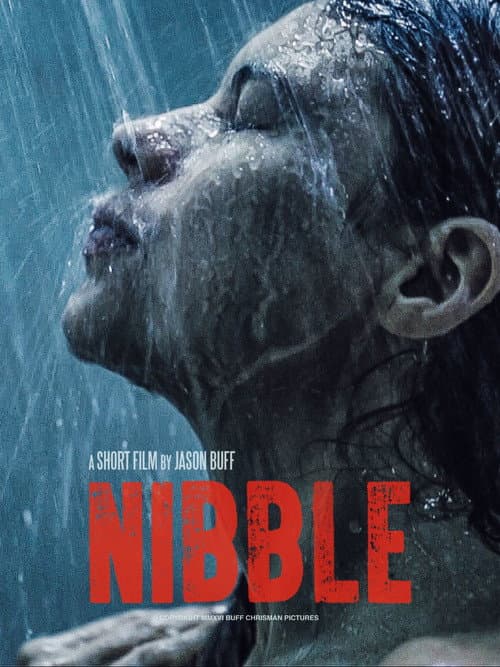 Постер: Nibble