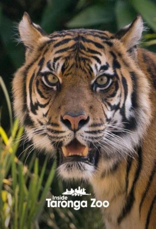 Постер: Inside Taronga Zoo