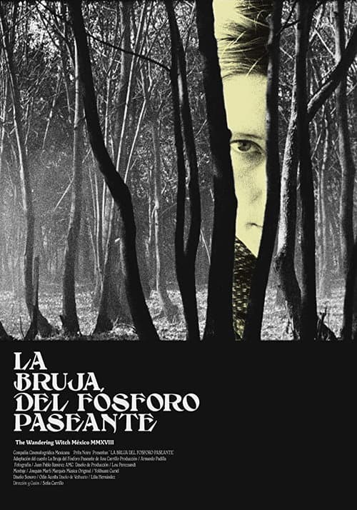 Постер: La bruja del fósforo paseante