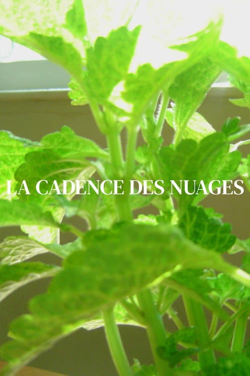Постер: La cadence des nuages