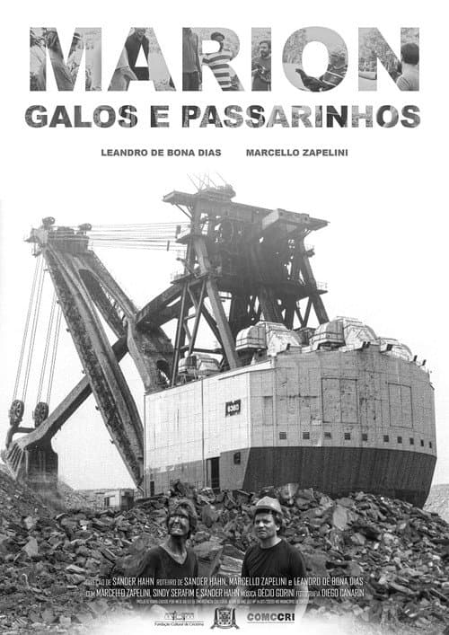 Постер: Marion, Galos e Passarinhos
