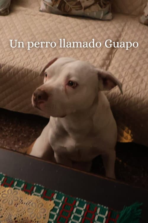 Постер: Un Perro Llamado Guapo