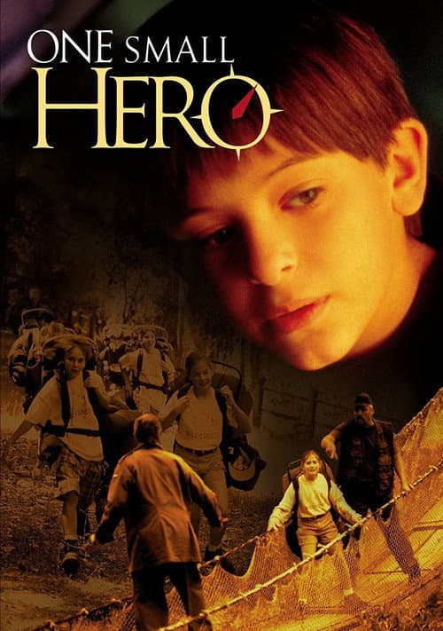 Постер: One Small Hero