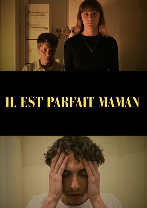 Постер: Il est parfait maman