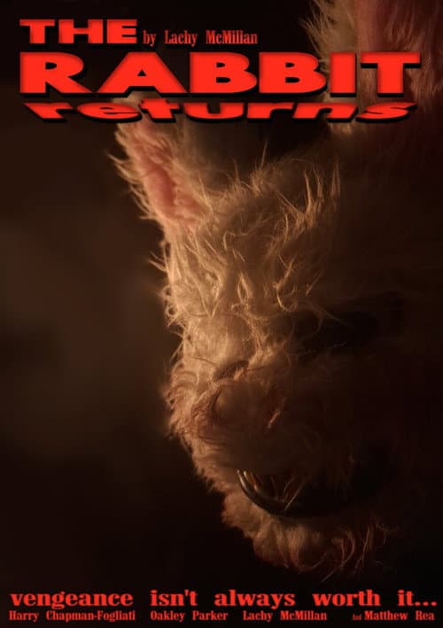 Постер: The Rabbit Returns