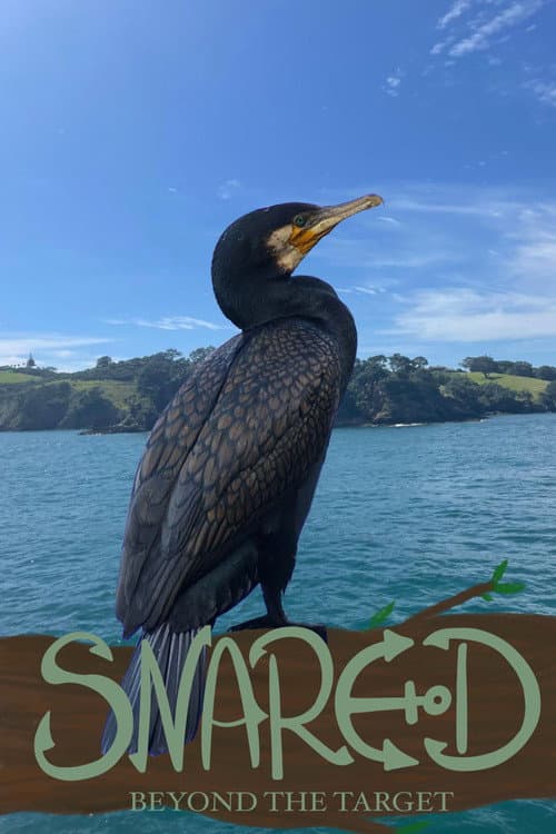 Постер: Snared