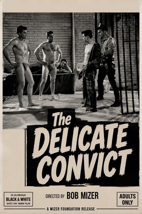 Постер: Delicate Convict