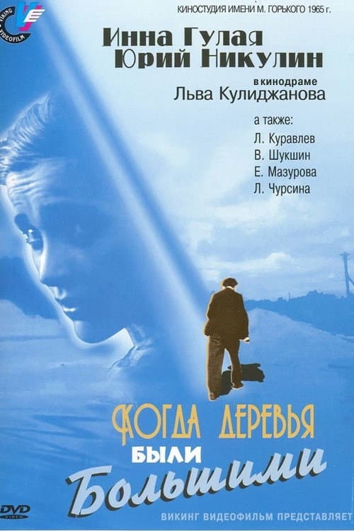 Постер 6
