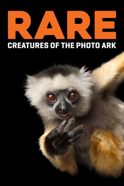 Постер: Rare: Creatures of the Photo Ark