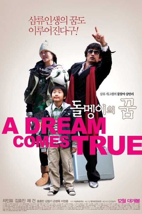 Постер: 돌멩이의 꿈