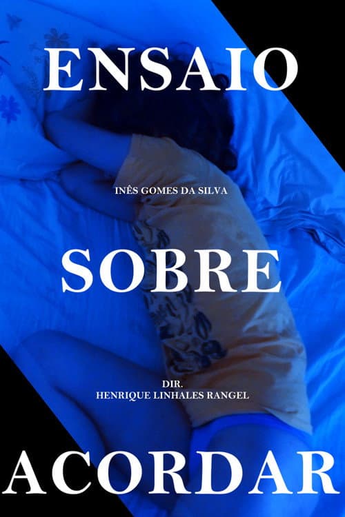 Постер: Ensaio Sobre Acordar